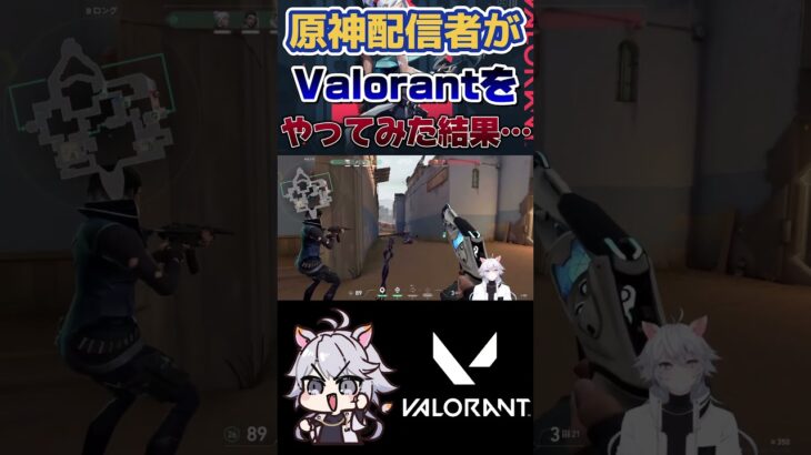 【Valorant】原神プレイヤーにしか伝わらんその例え方 #Valorant #ヴァロ #初心者 #shorts