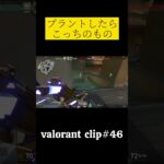 このギリギリがたまんない#shorts #valorant #ヴァロラント #ランク #valorant立ち回り #valorantクリップ #valorantclips