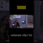 強さ＝値段ではない#shorts #valorant #ヴァロラント #ランク #valorant立ち回り #valorantクリップ #valorantclips