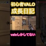 APEXから逃げたお【VALORANT】 #valorant #valorantclips #ヴァロラント #shorts