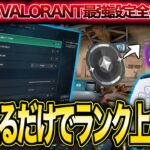 【CS VALORANT】これを見るだけでOK！CS版ヴァロラントにおける必須設定をまとめて解説！初心者脱却しましょう！！【CSヴァロラント】