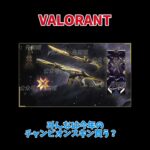 【Championスキン】これは買い！【VALORANT】