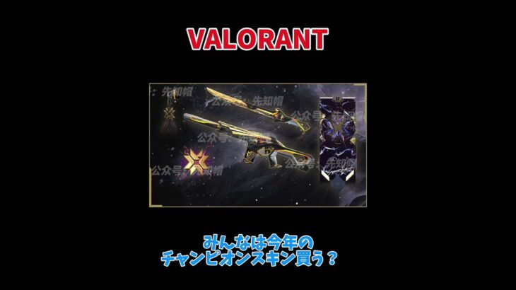 【Championスキン】これは買い！【VALORANT】