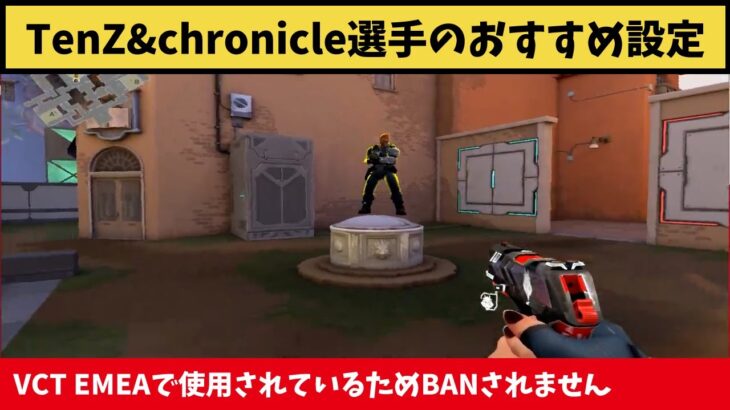 これは最強設定！TenZ選手やchronicle選手が使用している引き延ばし設定が最強すぎた！【VALORANT】【クリップ集】