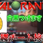 【VALORANT】沖縄のチート疑惑に白黒つける はりーシ【切り抜き】2024/7/17