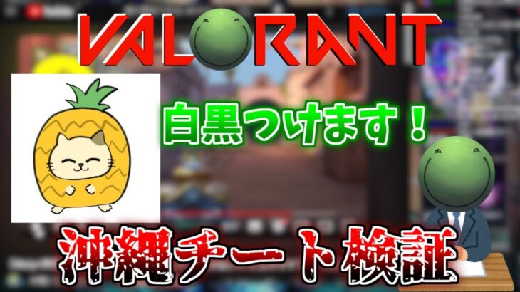 【VALORANT】沖縄のチート疑惑に白黒つける はりーシ【切り抜き】2024/7/17