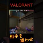 相手を惑わせる【ヨル】【VALORANT】