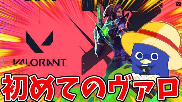 【VALORANT】キーマウ初心者が行く！初めてのヴァロラント！！