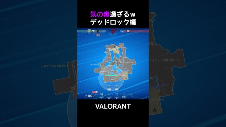 デッドロックウルト引っかかるんだｗ【VALORANT】