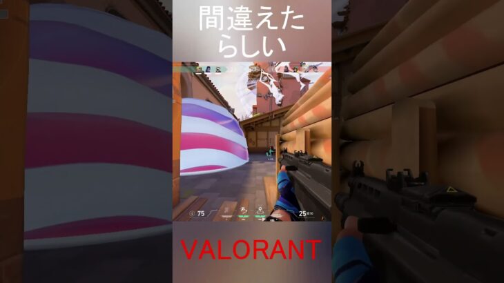 平和なVALORANT #shorts #valorant