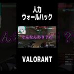 人力ウォールハック現る #VALORANT #valorantキル集 #valorantクリップ