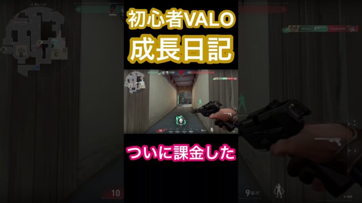 初心者が課金してしまったスキン【VALORANT】 #valorant #ヴァロラント #valorantclips #初心者 #shorts