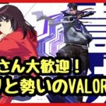 Valorant 参加型 ライブ 配信 ヴァロ エイム 強化月間