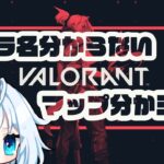 男性Vtuberがゴールドランクを目指してコンペヴァロラント！！！