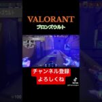 夜の自害　#valorant #ゲーム実況 #funnyclips #ヴァロラント