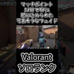 可哀そうすぎるフェイド #valorant #valorantクリップ #ヴァロラント #valorantclips