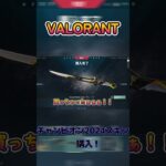 【チャンピオンスキン】チャンピオン2024スキン買ったぞー！【VALORANT】