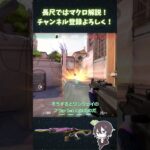 【新キャラ】【ヴァイス】リスナーから教えてもらったアセントAヘブンへの最強ワンウェイフラッシュ#vct #valorant #ずんだもん #ヴァロラント #vtuber #valorant解説