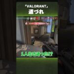 届くんですか！？【VALORANT】