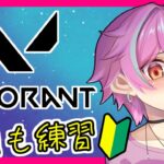 【初見歓迎】チャンピョンズスキン買っちゃった✌⭐　【VALORANT】