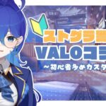 【 VALORANT┆コラボ 】ストグラ警察メンバーで初心者カスタム🔰こちらランク7、対よろです【 個人勢V┆碧輝りお 】