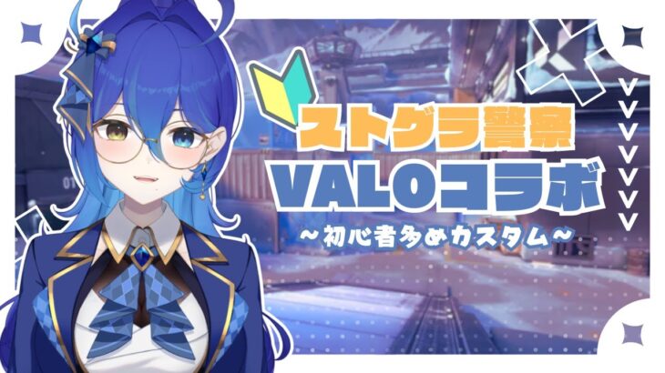 【 VALORANT┆コラボ 】ストグラ警察メンバーで初心者カスタム🔰こちらランク7、対よろです【 個人勢V┆碧輝りお 】