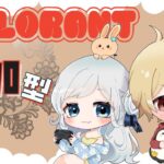 【VALORANT】おむらいすでヴァロラント参加型＊初心者＊