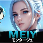 【VALORANT】VALORANTの ヘッドショット エイムボット マシン「Meiy」 | ヴァロラントモンタージュ