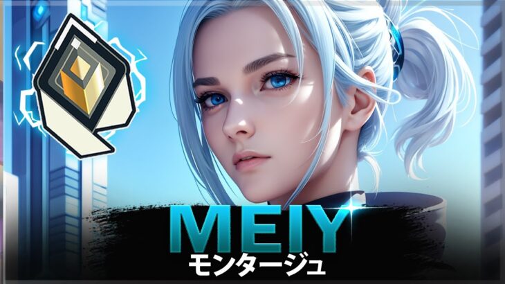 【VALORANT】VALORANTの ヘッドショット エイムボット マシン「Meiy」 | ヴァロラントモンタージュ