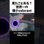 見たことある？世界一の極小ヴァロラントがおもろすぎたｗｗ #shorts #valorant #valorantclips