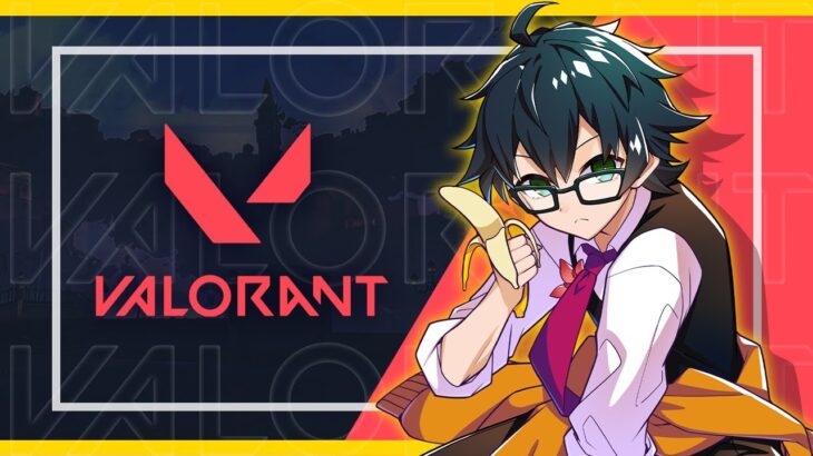 【valorant】はじめてのバロラント！(配信で)