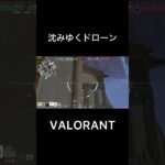 #valorant #valorantクリップ #ゲーム実況