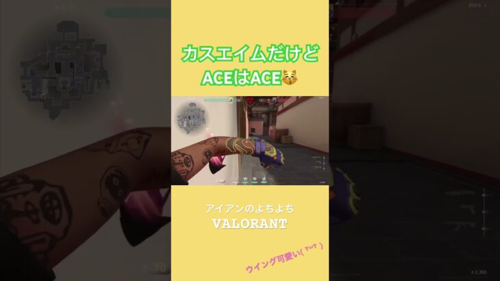 ちびすけ達かわいい👾#valorant #ヴァロラント #valorantclips #valorantクリップ #ヴァロ #ヴァロラントエイム #初心者 #ゲッコー #ace