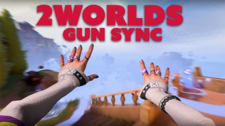 2Worlds | Valorant Gun Sync