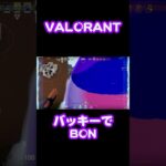 後ろからBON #shorts #valorant