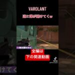 【PS5】俺のヴァンダル曲がってない？ #valorant  #ヴァロラント #funnymoments