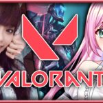 【VALORANT】喉が痛いけど欲しかったスキンが出たのでやるしかないっ！【JP/EN】