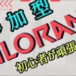 【参加型】【VALORANT】撃ち合い強くなりたい初心者のVALORANT配信！！！【初見大歓迎】