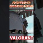 【VALORANT/ヴァロラント】このワンウェイ強すぎて草www