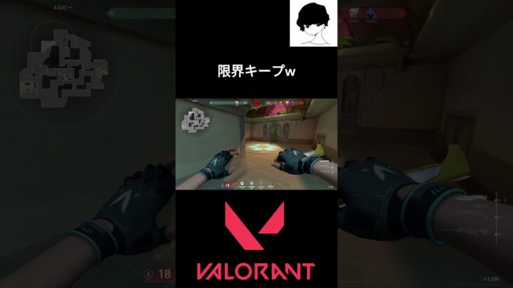 限界キープw #valorant #valorantクリップ #valorantclips #ヴァロラン#ヴァロラント #shortsvideo  #fps #valorantハイライト