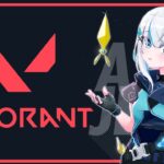 #13【 VALORANT 】くそじわばろらんと　ジェット２日め ～ブロンズ３～【アルス・アルマル/にじさんじ】