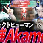 【DFM Akame】あらゆるロール、そしてIGL。すべてを経験したパーフェクトヒューマン、最強Akame集【VCJ 2023-2024:JDT,RC Akame】