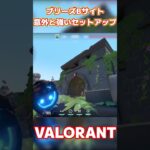 【VALORANT/ヴァロラント】意外と使えるきもセットアップ