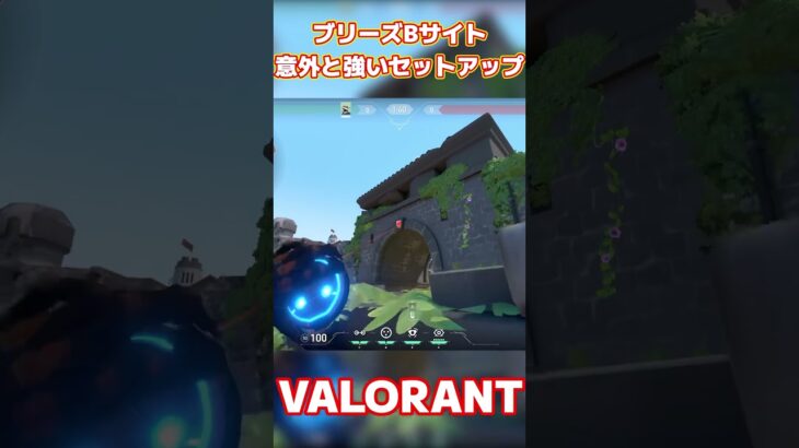 【VALORANT/ヴァロラント】意外と使えるきもセットアップ