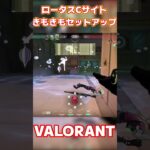 【VALORANT/ヴァロラント】ロータスサイファーきもきもセットアップ