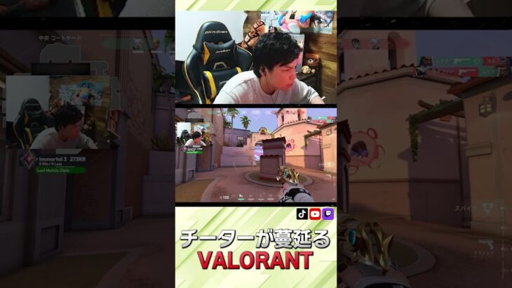 チーターが蔓延るVALORANT