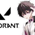 【VALORANT】にじさんじヴァロ大会参加決定！【酒寄颯馬/にじさんじ】