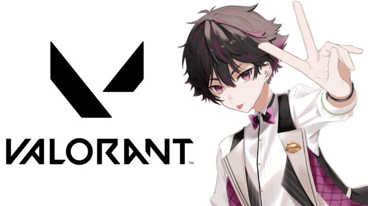 【VALORANT】にじさんじヴァロ大会参加決定！【酒寄颯馬/にじさんじ】