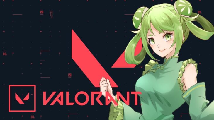 【 #VALORANT 】のんびりヴァロラント　～ガヤの蜜柑さんを添えてコンペ～【 #女性Vtuber 】