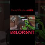 【VALORANT】フェニフラッシュは最強! #shorts #valorant #valorantclips #valorantクリップ #valorantキル集 #ヴァロラント